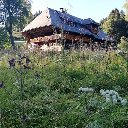 Der Schmidthof Appartement Todtmoos