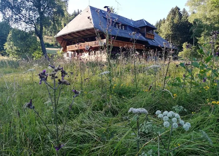 Der Schmidthof Lejlighed Todtmoos