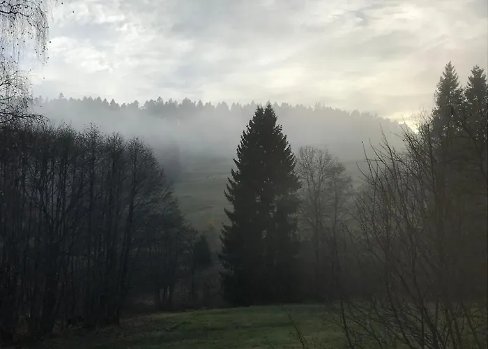 Der Schmidthof Апартаменты *